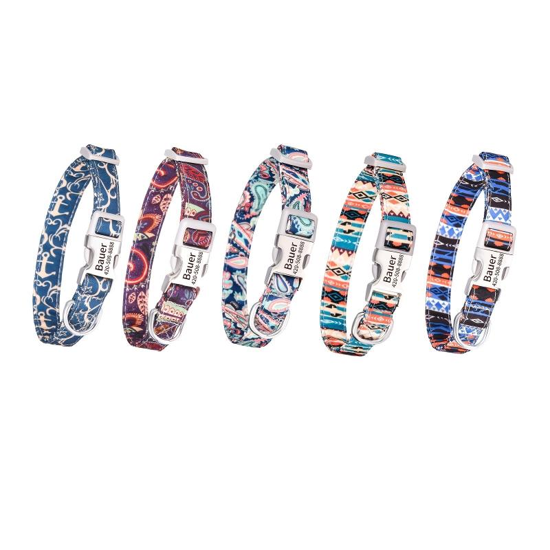 Personalized Engraved Double Layer Dog Collar