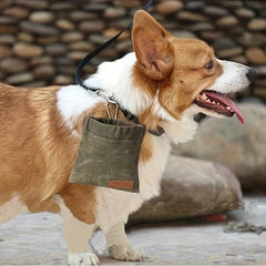 Dog Treat Training Pouch Waterproof Bag Carabiner for Outdoor Walking