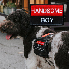 Handsome Boy 3D Embroidered Patch With Soft Loop Patch - Dog Patch