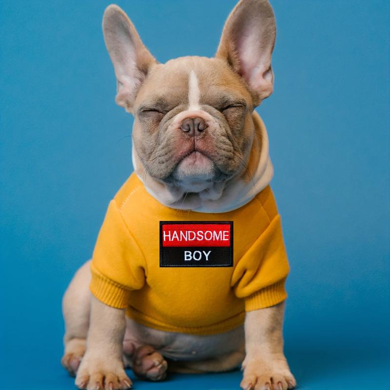 Handsome Boy 3D Embroidered Patch With Soft Loop Patch - Dog Patch