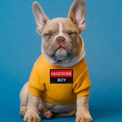 Handsome Boy 3D Embroidered Patch With Soft Loop Patch - Dog Patch