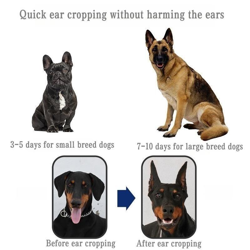 2pcs Dog Ear Stickers Dog Ear Stand Up Support Tool Sticker