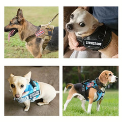 30pcs Service Dog Training Vest Embroidered Patches Dog Patch Accessories