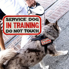 Service Dog In Training Do Not Touch Patch 3D Embroidered With Soft Loop Patch