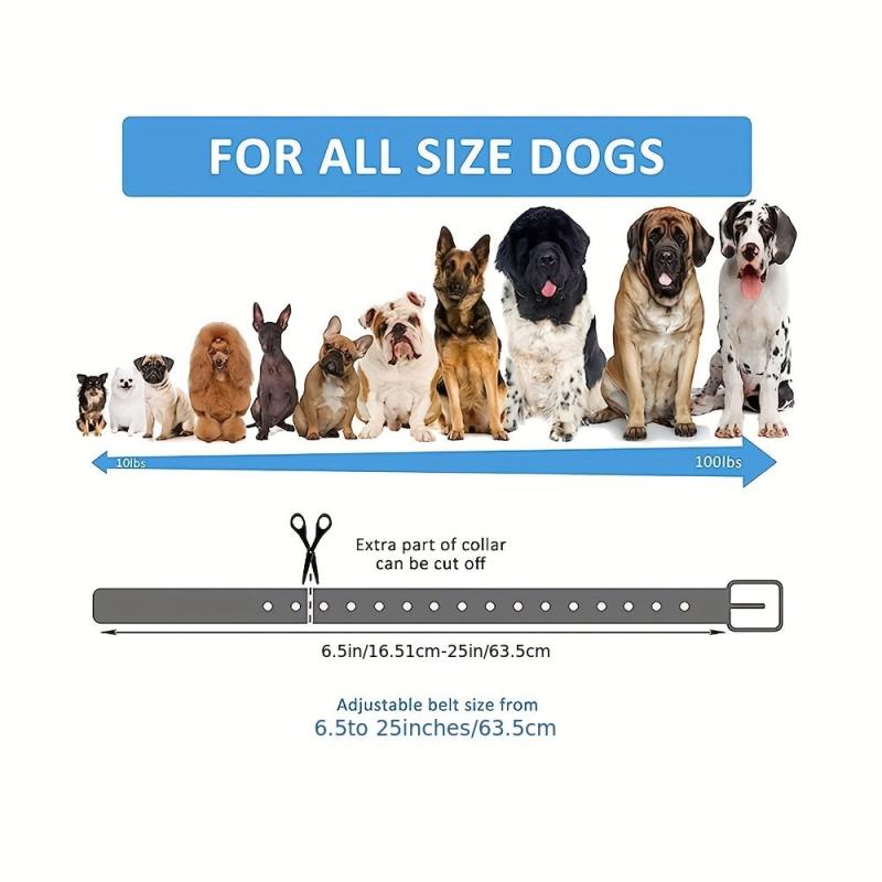Bungee Dog Collar Strap with D Ring - Replacement for Outdoor Walking Dogs
