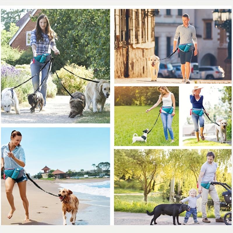 Dog Training Waist Bag Outdoor Interactive Training Pet Food Bag