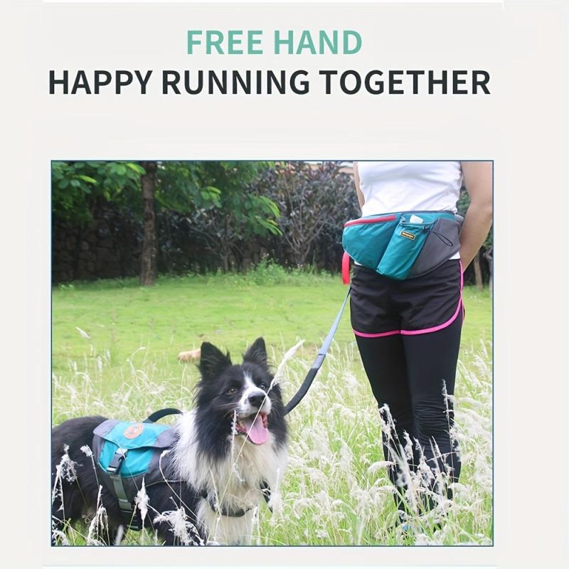 Dog Training Waist Bag Outdoor Interactive Training Pet Food Bag