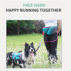 Dog Training Waist Bag Outdoor Interactive Training Pet Food Bag