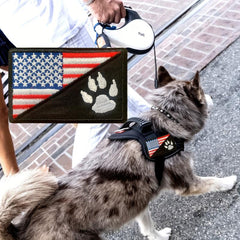 3D Embroidered Paw Pet Patch with Hook and Loop, US Flag with Paw Design