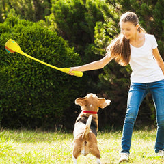 Interactive Dog Toy Ball Launcher Automatic Stretching Rope Ball