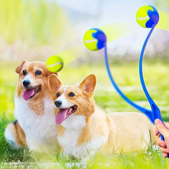 2pcs Pet Throw Ball Stick Dog Training Toy Ball Thrower