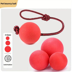 Rubber Dog Ball Toy for Chew & Teeth Cleaning, Tug Interactive Chew Toy