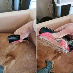 Pet Hair Remover Brush for Sofa Carpet Clothes Grooming Tool