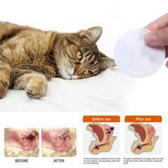 60pcs Pet Wet Wipes For Cat and Dog Eye Ear Cleaning