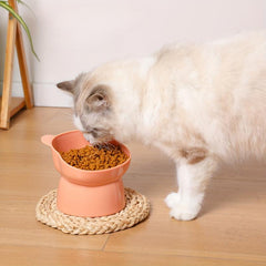 1pc Plastic Cat Elevated Food Bowl Durable Inclined Water Bowl for Indoor Cats