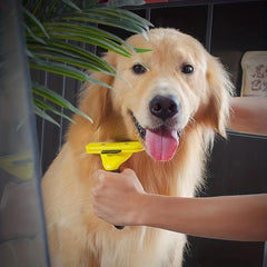 2 in 1 Pet Grooming Tool: Hair Removal Comb and Slicker Brush