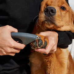 Stainless Steel Pet Nail Clipper - Safe and Easy Grooming