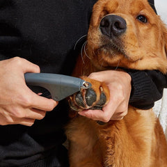 Stainless Steel Pet Nail Clipper - Safe and Easy Grooming