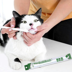 3Pcs Cat Toothbrush Teeth Cleaning Nontoxic Tooth Brush Tool