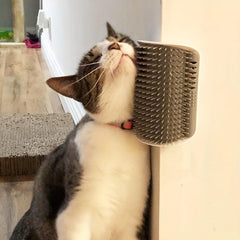 Wall Mounted Cat Groomer Comb Brush for Kitten Puppy