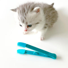 Pet Grooming Silicone Brush & Eye Tweezers for Dogs/Cats
