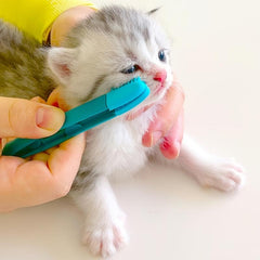 Pet Grooming Silicone Brush & Eye Tweezers for Dogs/Cats