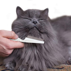 Pet Grooming Glove Slicker Brush for Dogs and Cats