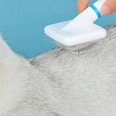 Pet Hair Remover Brush for Cats and Dogs