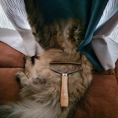 Pet Hair Remover For Dog & Cat Grooming Brush