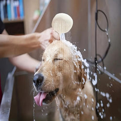 Dog Shower Attachment Pet Shower Head Rubber Handheld Dog Shower Bathing Sprayer