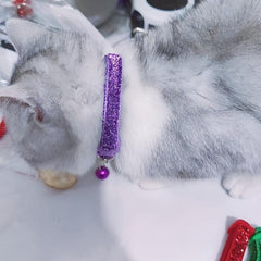 Sparkling Collar with Bell for Small Pets - Glamour and Safety