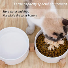 Ceramic Double Pet Bowls with Wooden Stand for Indoor Cats