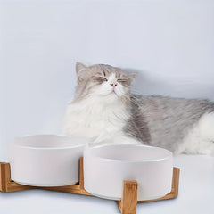 Ceramic Double Pet Bowls with Wooden Stand for Indoor Cats