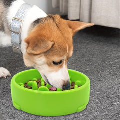 Pet Slow Feeder Bowl Anti Choking Interactive Dog Cat Food Bowl