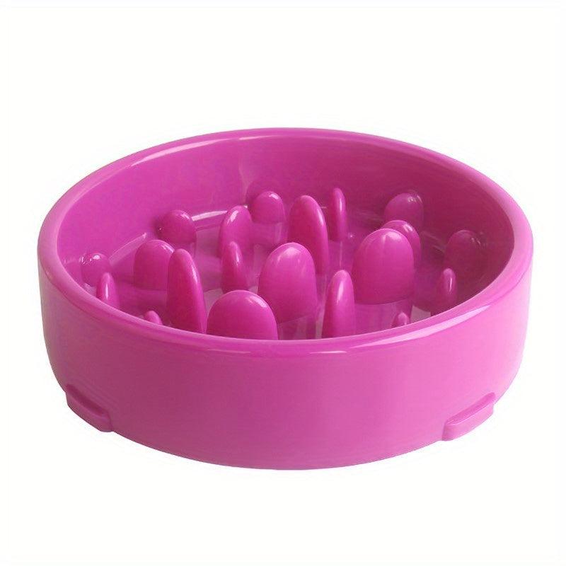 Pet Slow Feeder Bowl Anti Choking Interactive Dog Cat Food Bowl
