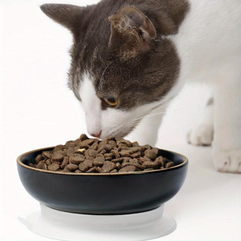 Ceramic Cat Food Bowls with Non-slip Base, Set of 4
