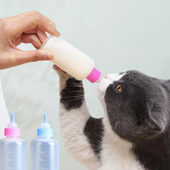 Puppy Kitten Feeding Bottle Pet Milk Feeding Bottle for Nursing
