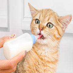 Puppy Kitten Feeding Bottle Pet Milk Feeding Bottle for Nursing