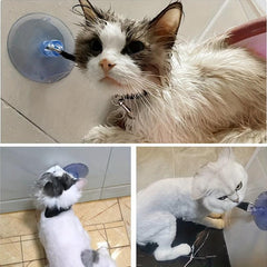Pet Bath Suction Cup Dog Cleaning Tool