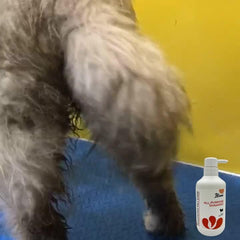 Deodorizing Dog Shampoo - Natural Pet Shampoo