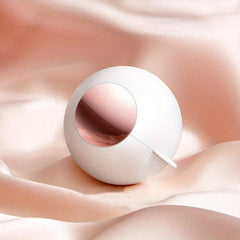 Reusable Mini Gel Lint Roller for Clothes & Pet Hair Removal