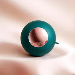 Reusable Mini Gel Lint Roller for Clothes & Pet Hair Removal