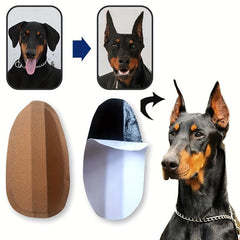 Dog Ear Stand Sticker Up Support Tool Ear Fixed Correction