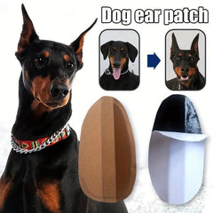Dog Ear Stand Sticker Up Support Tool Ear Fixed Correction