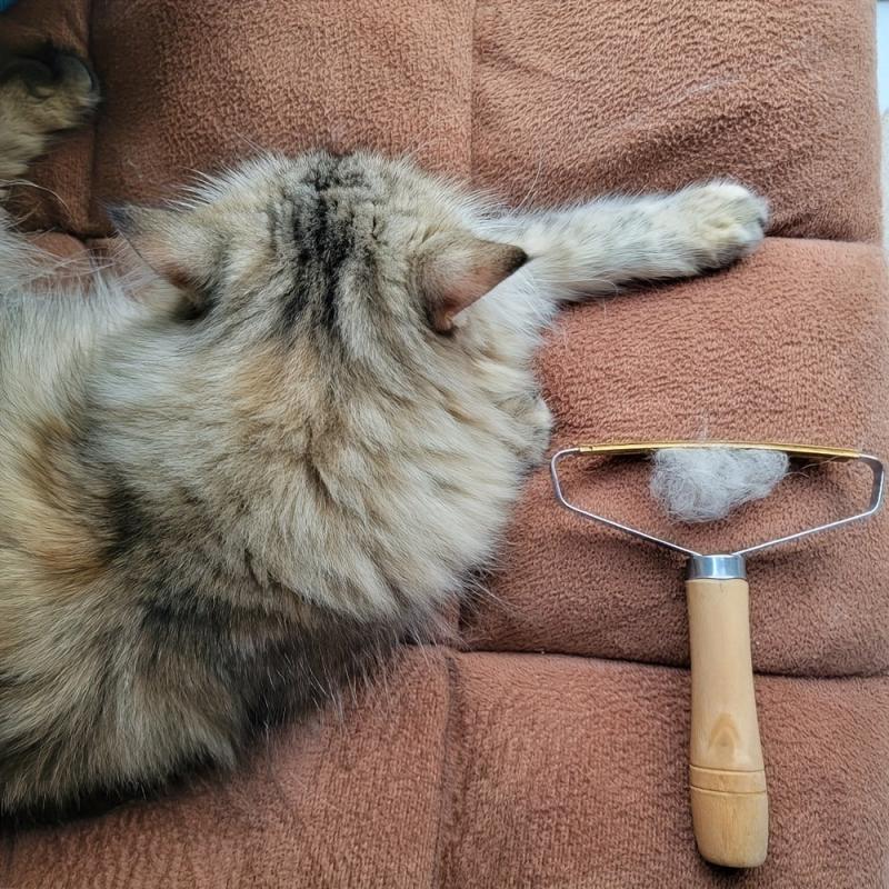 Gentle Pet Hair Remover Brush for Cats and Dogs