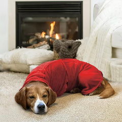 Microfiber Double Layer Pet Hooded Bath Towel