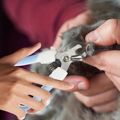 Pet Nail Clipper & File Set Stainless Steel Dog Cat Grooming Tool