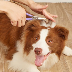 Pet Grooming Eye Scissors for Dogs and Cats Precision Trimming Tool