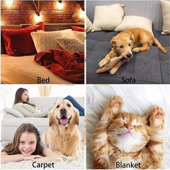 Cat Dog Grooming Tool: Hair Removal Comb & Slicker Brush