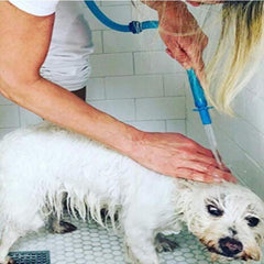 Dog Wash Hose Attachment for Showerhead and Sink